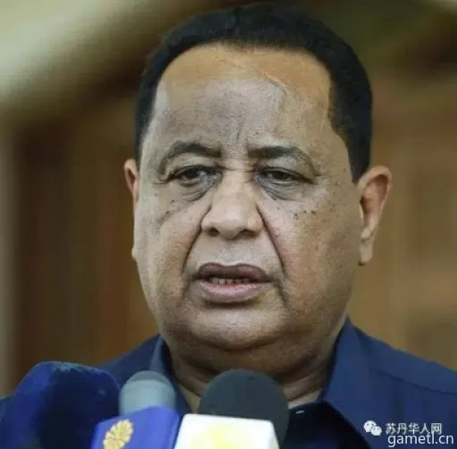 苏丹制图师麦娜尔事件概览 苏丹制图师麦娜尔事件概览